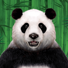 panda image - topskillgames.com